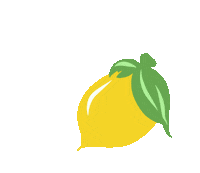 Lemon Jae Sticker