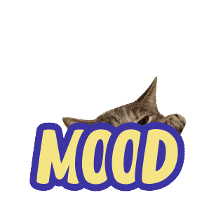 Cat Mood Sticker