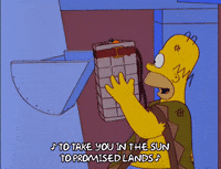 homer simpson episode 6 GIF