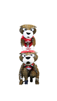 south alabama cat Sticker by University of South Alabama