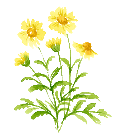 Happy Flower Sticker by compo