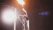 torostijuana tijuana beisbol toros de tijuana GIF