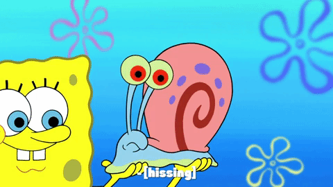 season 9 gary's new toy GIF by SpongeBob SquarePants