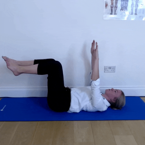 Fiona4233 giphygifmaker GIF