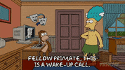 Season 18 Episode 22 GIF by The Simpsons
