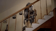 Season 3 Halloween GIF by ABC Network