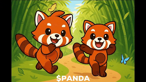 Happy Red Panda GIF by PandaMania