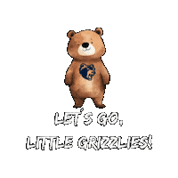 Flagfootball Sticker by Hannover Grizzlies