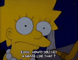 Season 1 Episode 6 GIF by The Simpsons