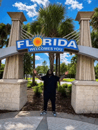 South Florida Travel GIF