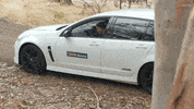 Huntedau GIF by Hunted Australia