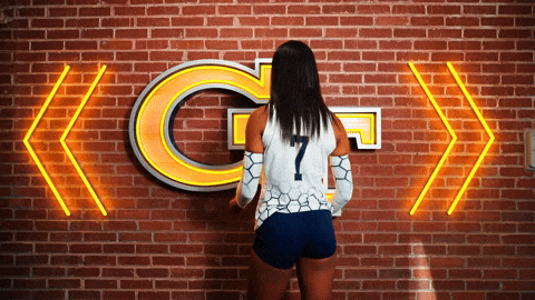 Georgia Tech Volleyball GIF by Georgia Tech Yellow Jackets