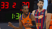 Liga Endesa What GIF by ACB