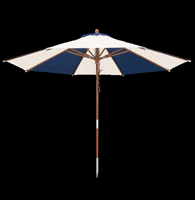 Good Morning Summer GIF by anndora