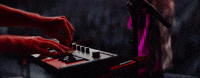 Festival Concert GIF by Flora Cash