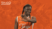 Basketball Hello GIF by Tango Bourges Basket