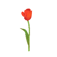 forencos 원더랜드 포렌코즈 Sticker