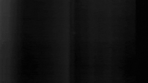 Football Sport GIF by SK Sturm Graz