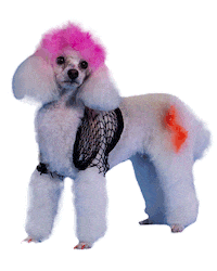 Bbc One Lol Sticker by BBC