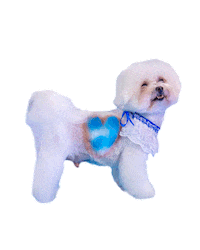 Bbc One Lol Sticker by BBC