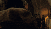 michael scofield fox GIF by Prison Break