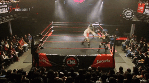 cnlgif luchachilena GIF by CNL Chile