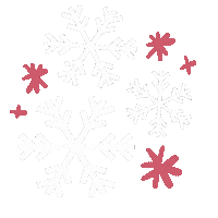Snowflake Sticker by Ruby Rose Colombia