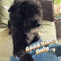 Relaxing Good Vibes GIF