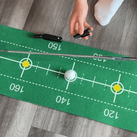 BeesSensations giphyupload GIF