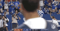 2018 Nfl Football GIF by NFL