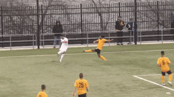 goal fcc GIF by FC Cincinnati