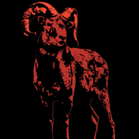 Bleckwiesen bwf bleckwiesenfestival bleckwiesen GIF