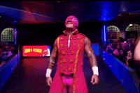 Lucha Libre Wrestling GIF