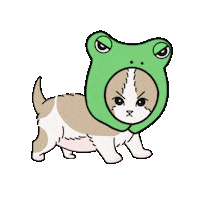 Cat Fight Me Sticker