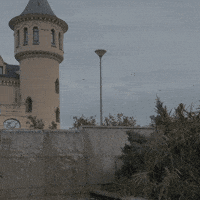 alcorconhoy alcorcon alcorcón actualidad alcorcón empleo alcorcon GIF