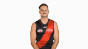 essendonfc patrick bombers dons essendon GIF