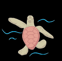 fundacaotoyota brasil sustentabilidade nordeste natureza GIF