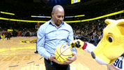 Signing English GIF by NBA