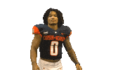 Slime Sticker by Carson-Newman Athletics