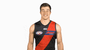 essendonfc bombers dons essendon essendon fc GIF