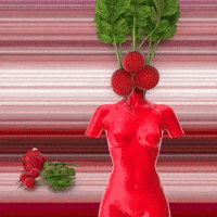 Vegetable Radish GIF by The LSD Hotel