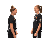 F-liiga floorball salibandy innebandy fliiga Sticker