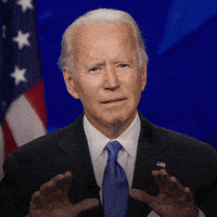 Voting Election 2020 GIF by Joe Biden
