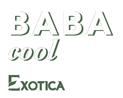 Loveyoudad Baba Cool Sticker by Exotica