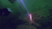 Discovery Channel Point GIF by Discovery