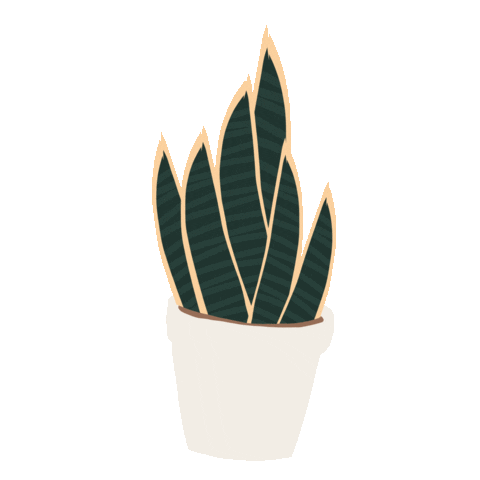 lawmartinezr illustration plants colombia cactus Sticker