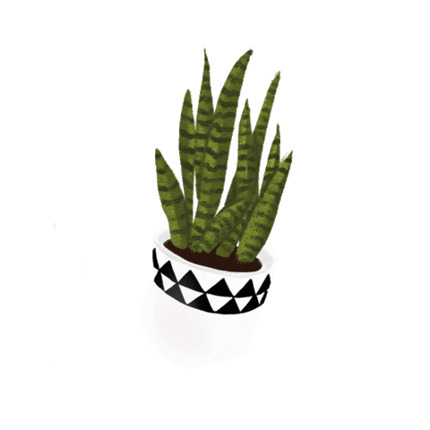 dhefloriano nature plant garden casa Sticker