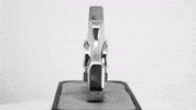 Fidget GIF by Big Poppa E
