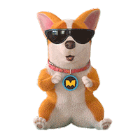 mocoaifay animation dog cartoon corgi Sticker