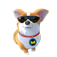 mocoaifay animation dog cartoon corgi Sticker